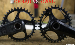 Zębatka okrągła vs. owalna