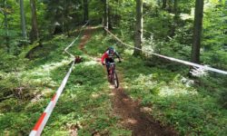 Rzucili wszystko i pojechali w Bieszczady